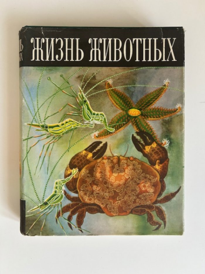 Жизнь животных: энциклопедический комплект в 6 томах (7 книг) — систематическое описание от простейших до млекопитающих