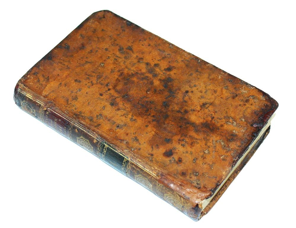 Chambon N. Des maladies des enfans. [О детских болезнях]. [в 2-х т.]. Том 1.