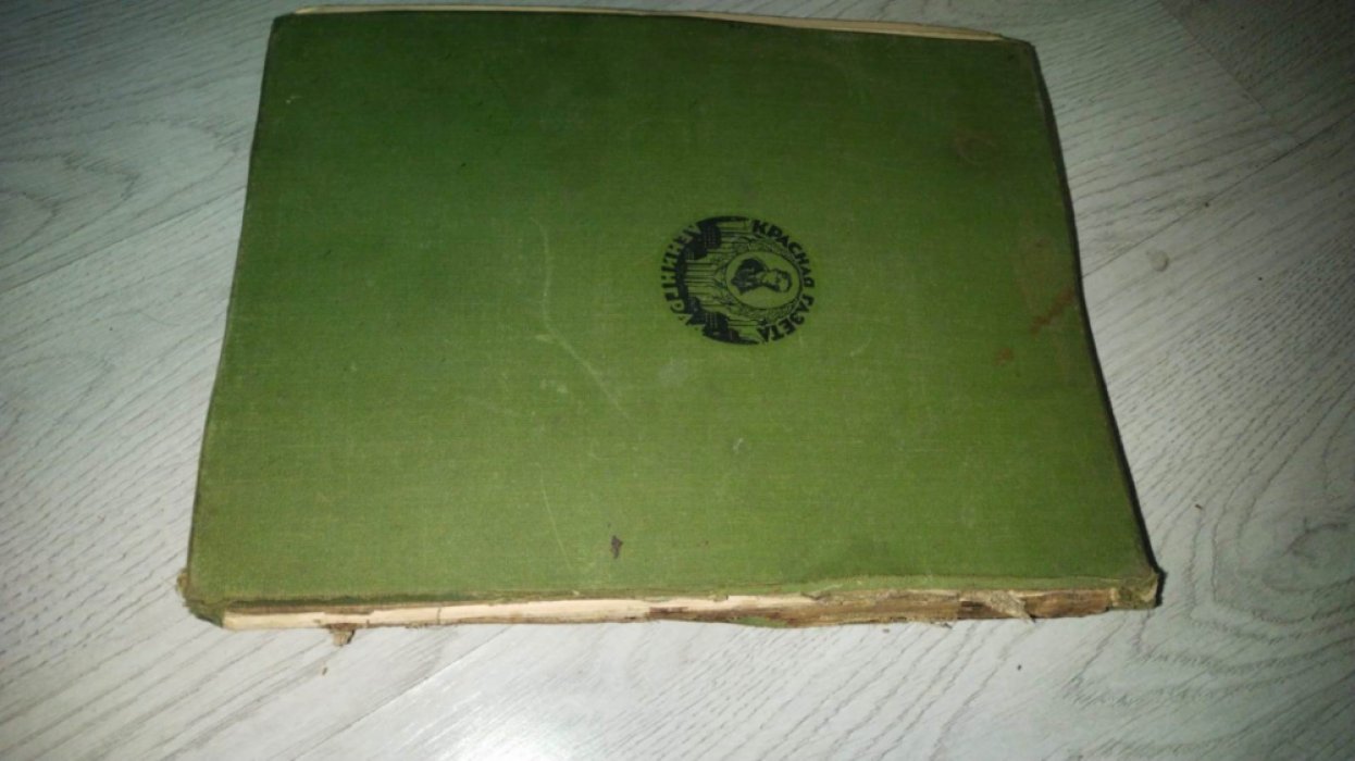 Власть Советов за десять лет: 1917–1927. Очерки о становлении нового государства