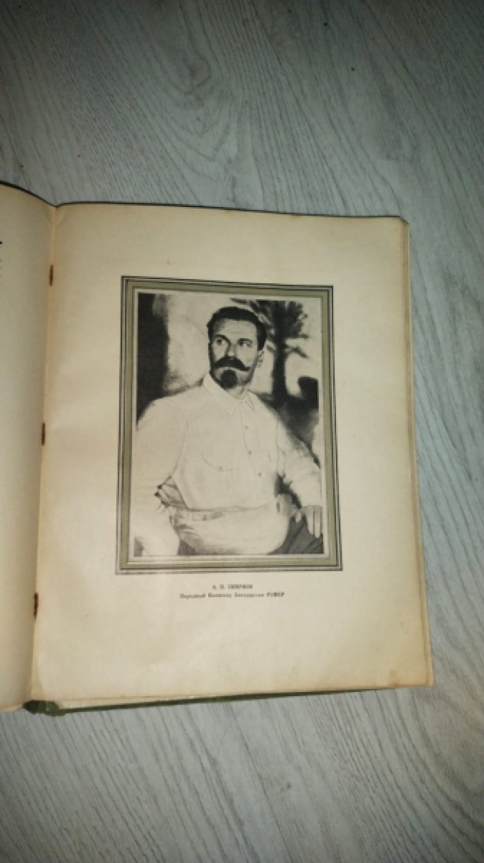 Власть Советов за десять лет: 1917–1927. Очерки о становлении нового государства