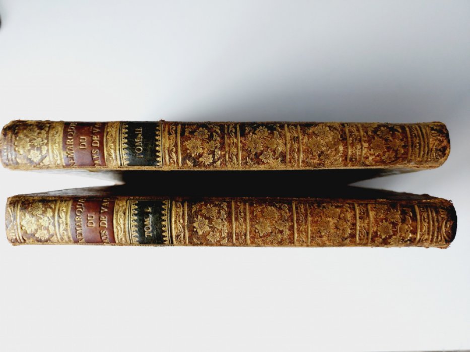 Remarques sur les loix et statuts du Pays-de-Vaud. Tome 1, 2. /Примечания к законам и статутам Пэи-де-Во. В 2-х томах/.