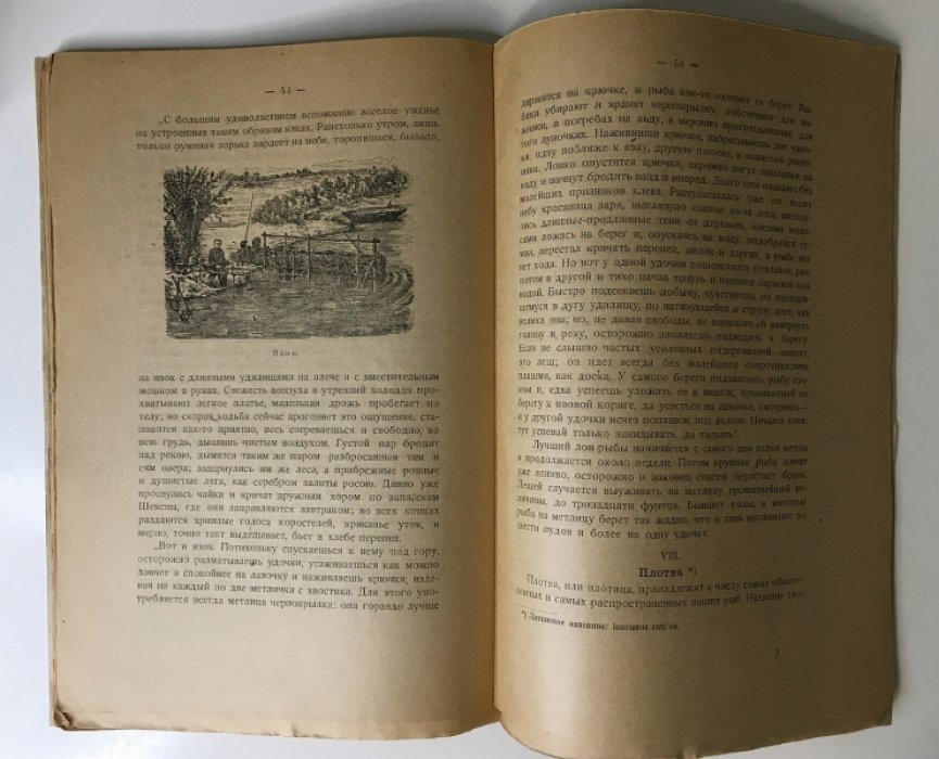 Наши рыбы. Карась, окунь, линь, ерш, щука, пескарь, лещ, плотва: справочник рыболова