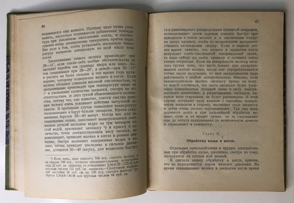 Практическое приготовление сыра «Бакштейн» — популярное руководство по сыроделию