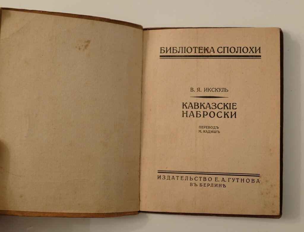 Кавказские наброски: Осетия и ингуши (очерки и предисловие 1922 года)
