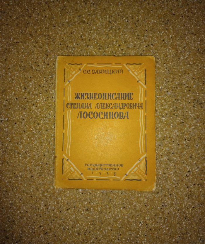 Жизнеописание Степана Александровича Лососинова. Трагикомическое сочинение