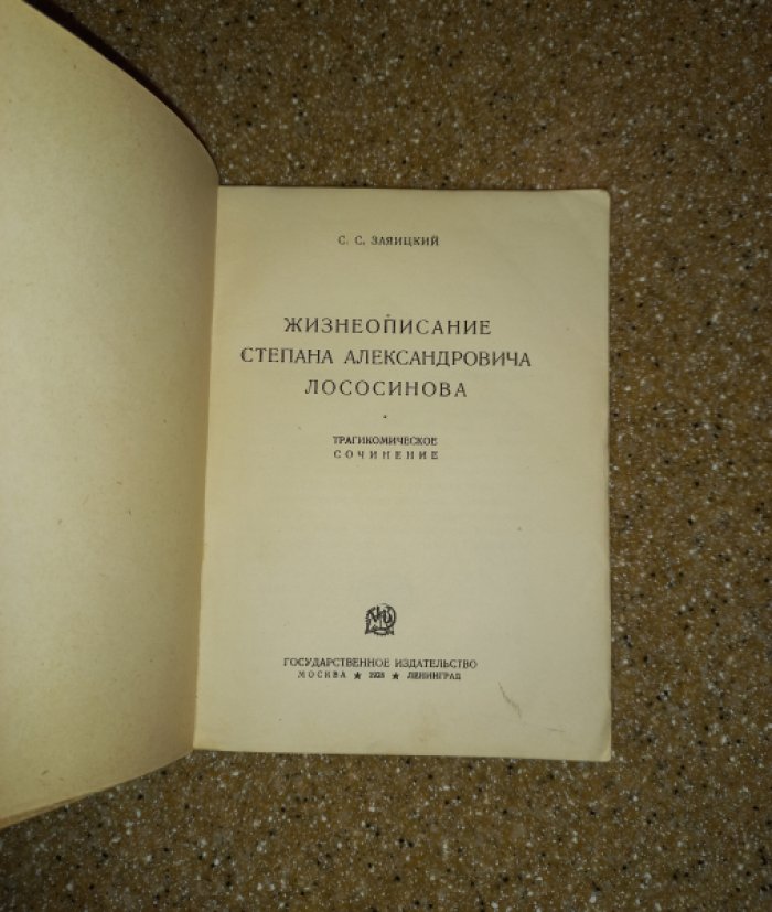 Жизнеописание Степана Александровича Лососинова. Трагикомическое сочинение