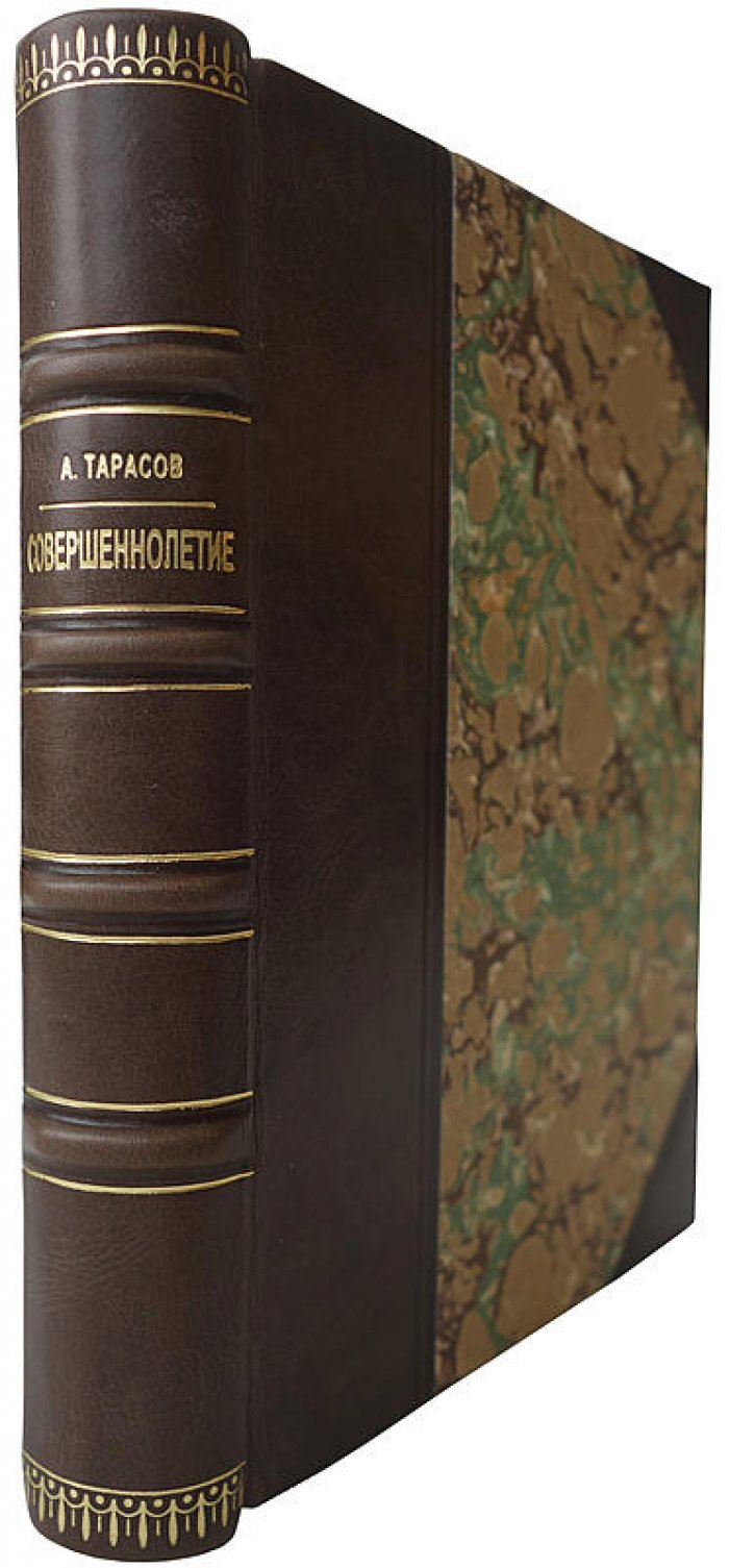 Совершеннолетие. Хоккей и хоккеисты — книга 1966 года