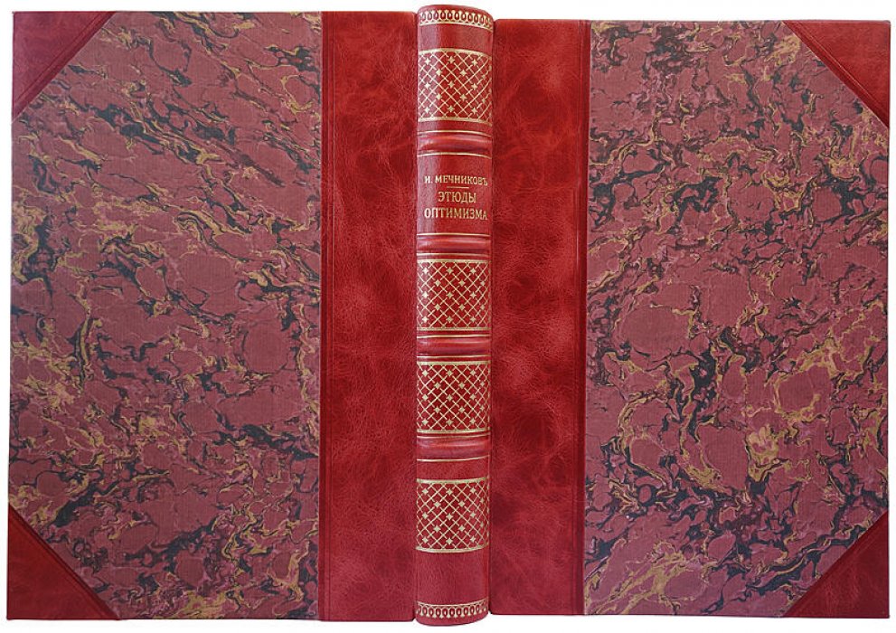 И. И. Мечников — «Этюды оптимизма» (1913). Антикварная книга, Москва, «Научное слово»