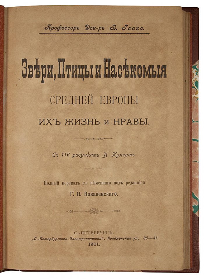 Звери, птицы и насекомые Средней Европы: их жизнь и нравы (антикварное издание, 1901)