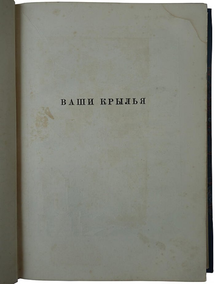 Ваши крылья. Антикварная книга 1937 года, Москва, ВОЕНИЗДАТ, 248 с. (полукожаный переплёт)