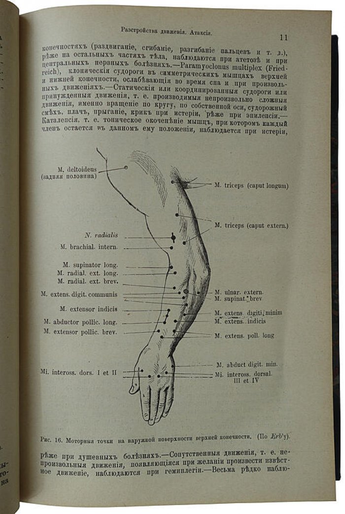 Швальбе Ю. «Основы практической медицины» (1909) — антикварное издание Санкт-Петербурга