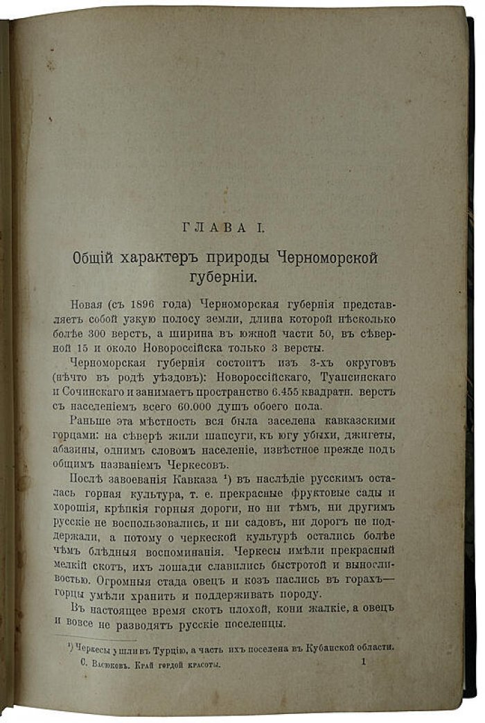 «Край гордой красоты. Кавказское побережье Черного моря» — антикварное издание 1903 года