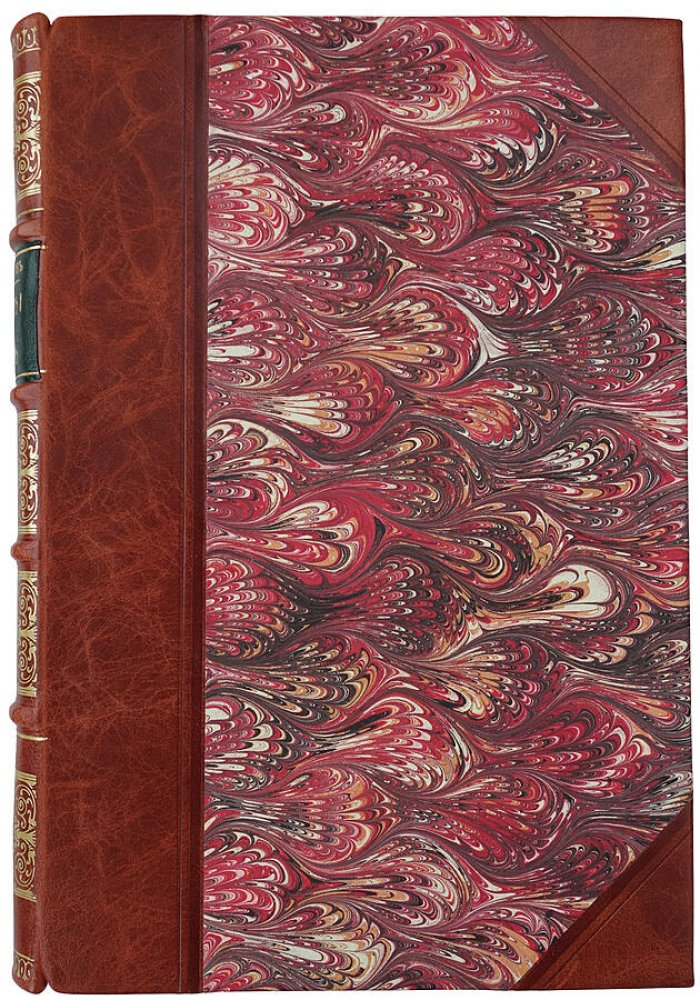 Александр I и Наполеон. Исторические очерки (1915). Дживелегов А.К.