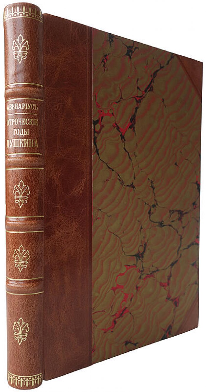 Авенариус В.П. «Отроческие годы Пушкина». Антикварное издание 1893 года