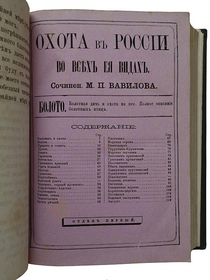 Вавилов М.П. «Охота в России во всех ее видах» — антикварное издание 1873 года (Москва)