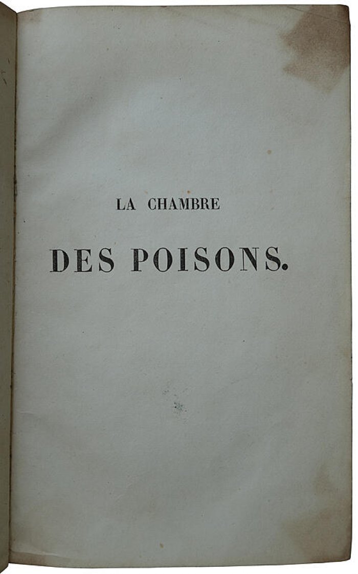 «La chambre des poisons» — история эпохи Людовика XIV (французское издание, 1839). Антикварный комплект в 2 томах, полукожаный переплет
