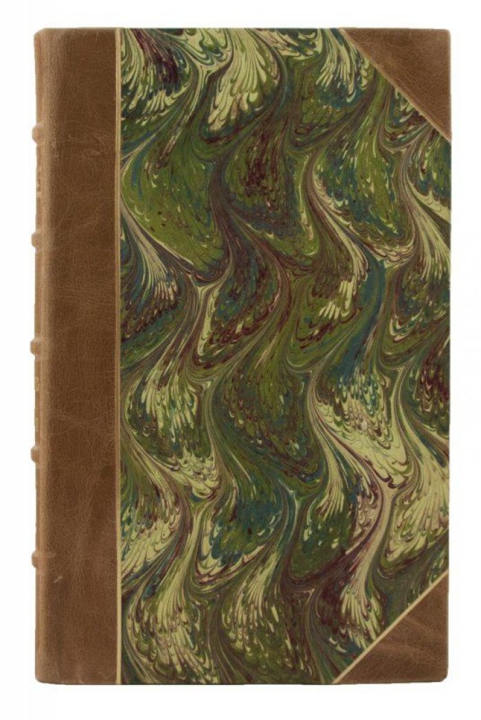 Мацкевич Д. «Живопись во Франции» (антикварное издание 1860 года)