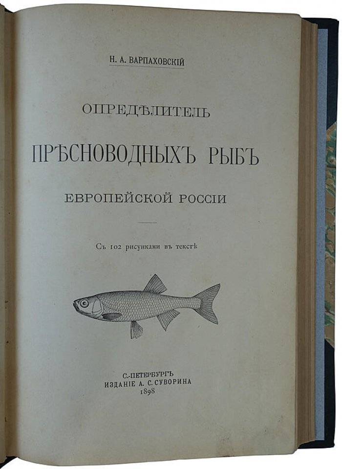 Определитель пресноводных рыб Европейской России (антикварное издание 1898 г.) — Н. А. Варпаховский
