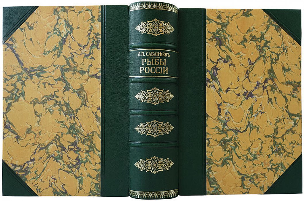 Рыбы России: жизнь и ловля (ужение) пресноводных рыб. Антикварная книга 1911 года (Сабанеев)