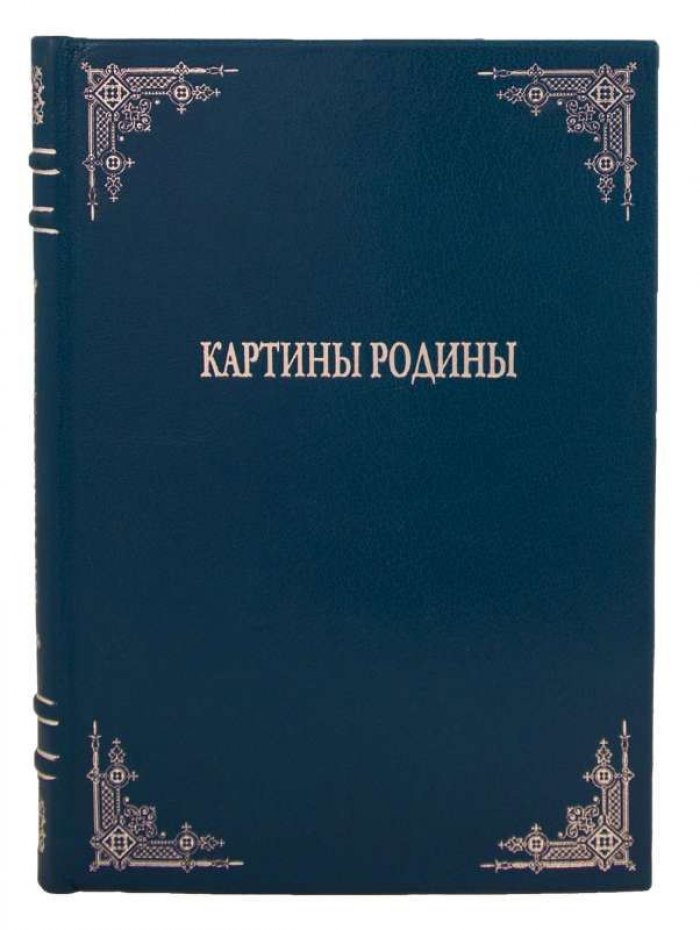 Картины родины. Антикварное издание 1905 года с 62 рисунками (Нечаев А.П.)