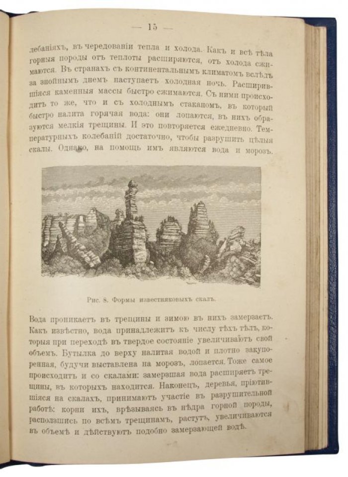 Картины родины. Антикварное издание 1905 года с 62 рисунками (Нечаев А.П.)
