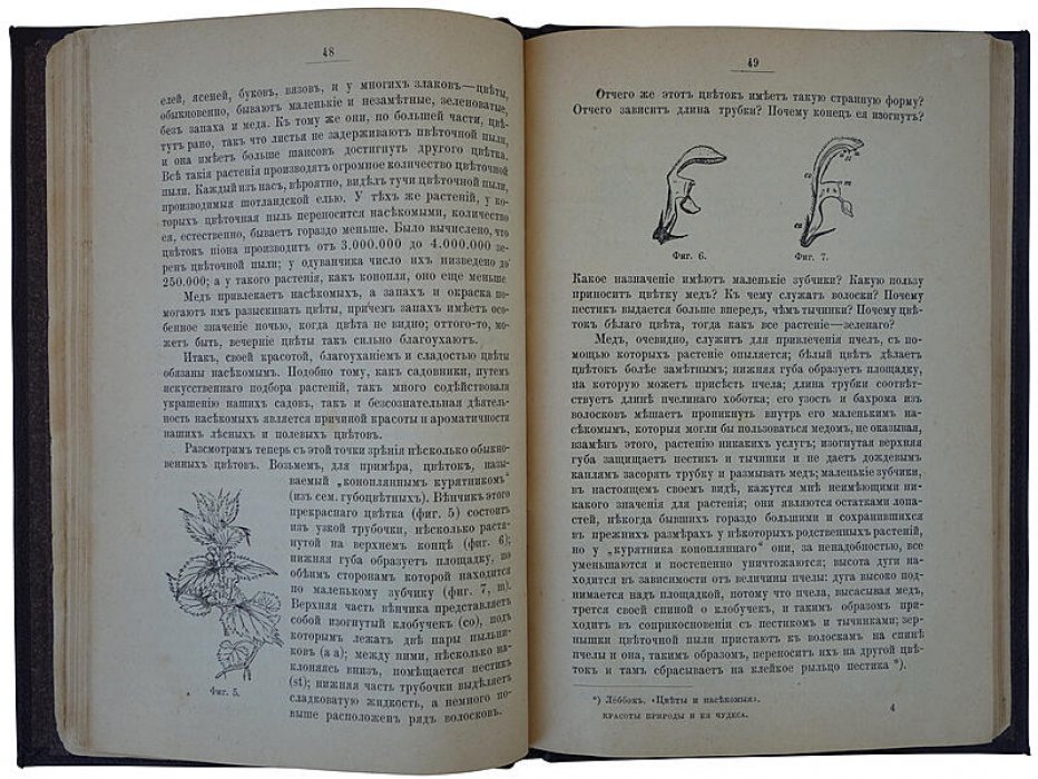 Леббок Д. «Красоты природы и ее чудеса» — антикварное издание 1894 года (Санкт-Петербург, М.В. Клюкин) с зарисовками