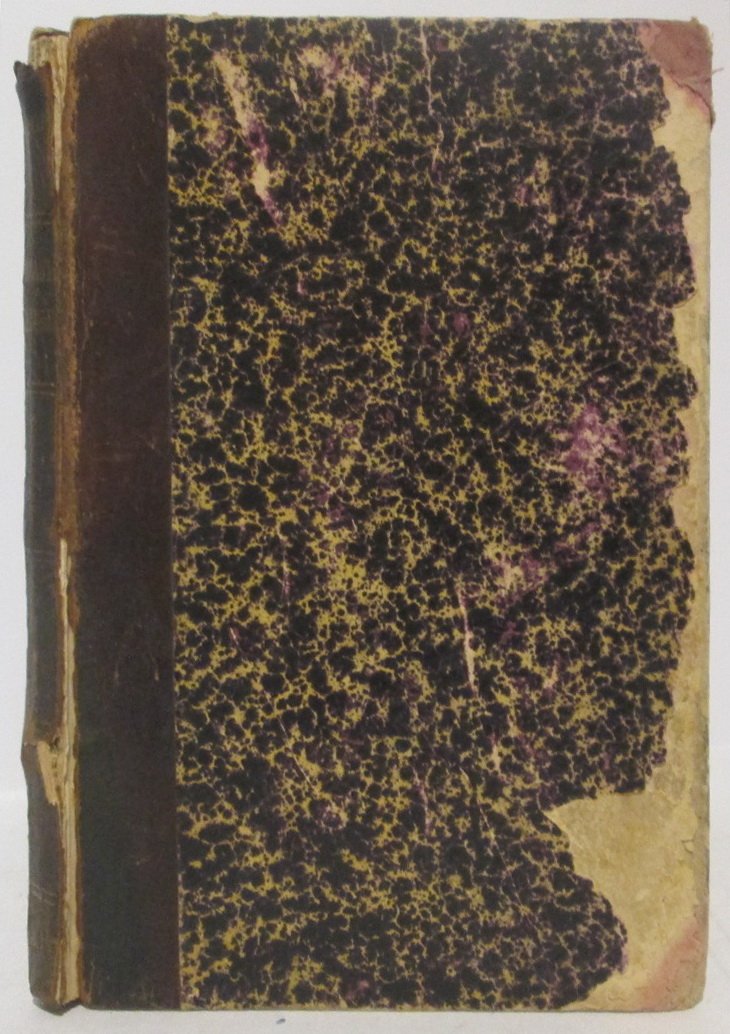 Атаман-мститель. Пономарев И. Н. (1890, типография Гольдберга, 212 с.)
