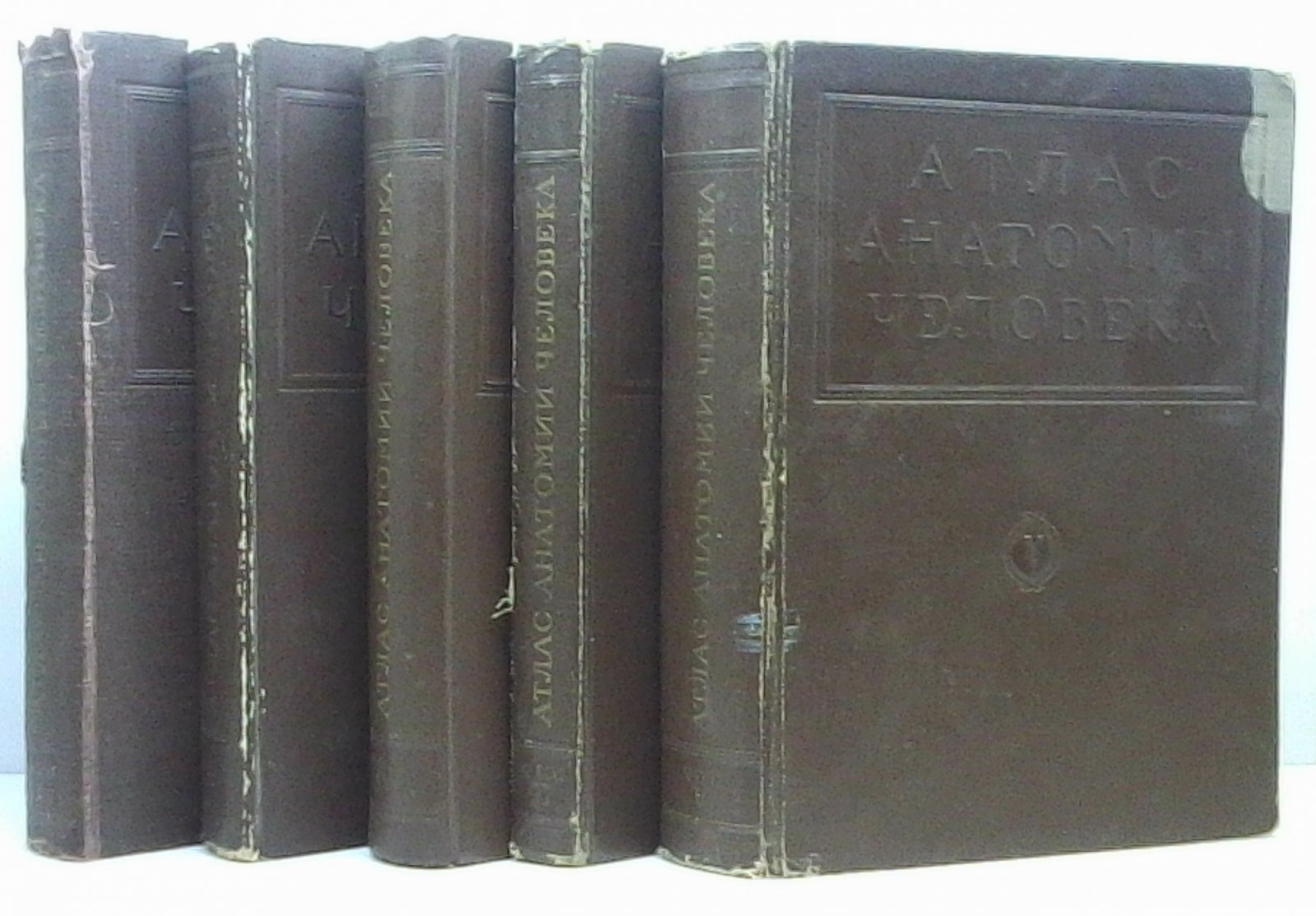 Атлас анатомии человека. 5 томов (В. П. Воробьев)