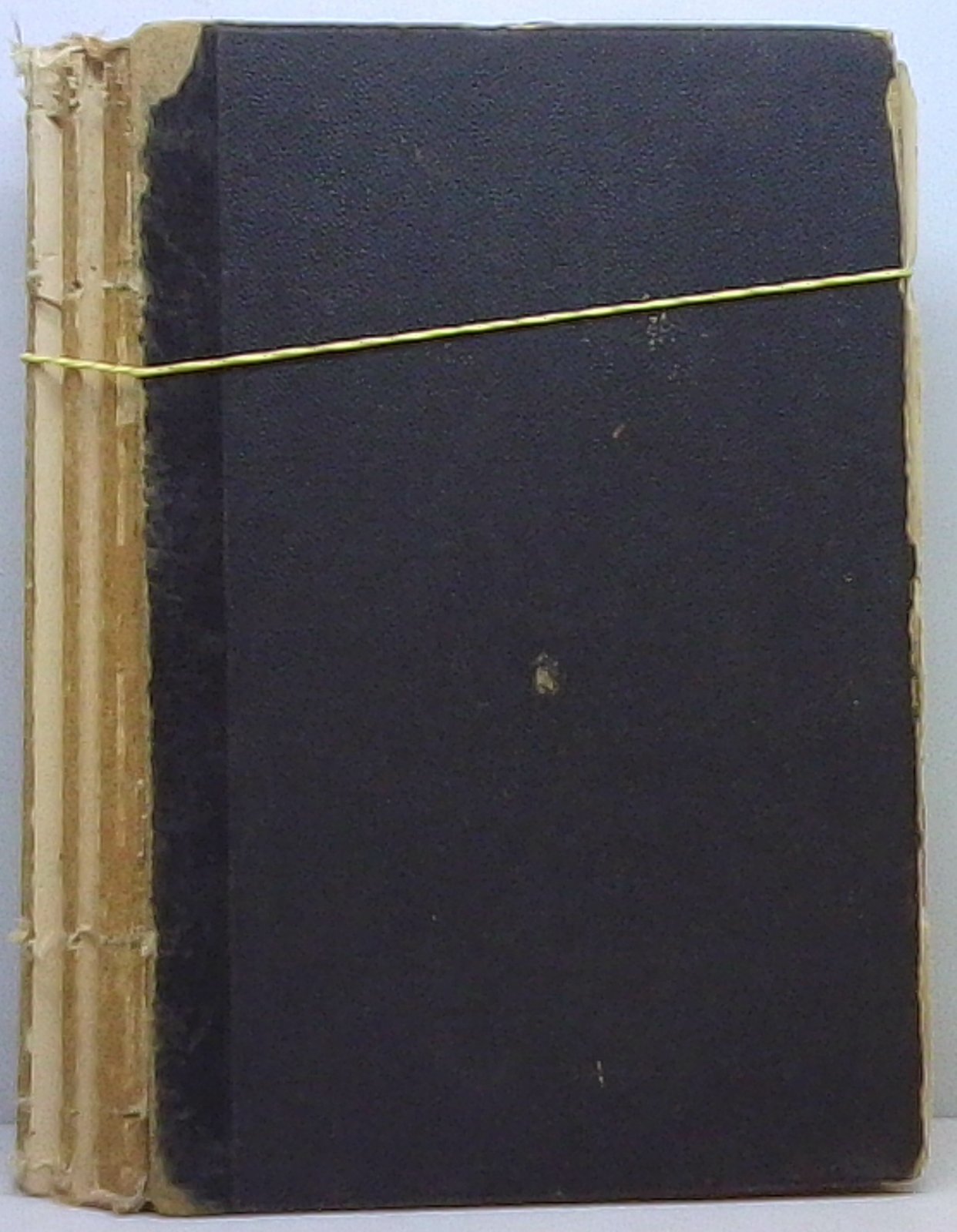 Сенсации и замечания г. Курдюковой. Том 1: Германия и Швейцария (1904)