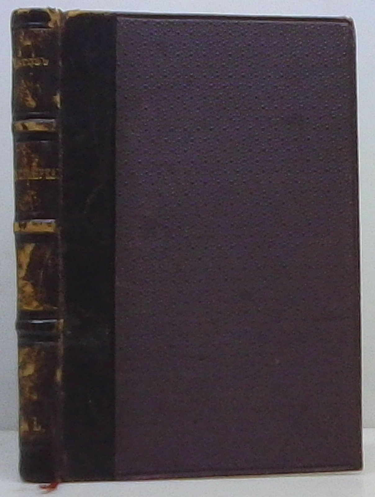 А. П. Чехов «В сумерках» — издание 1889 года (277 стр.)