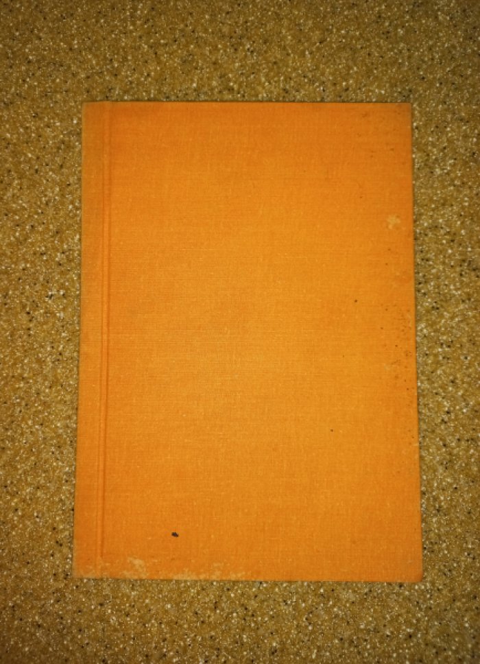 Шенгели Г. А. «Пиротехник». Поэма