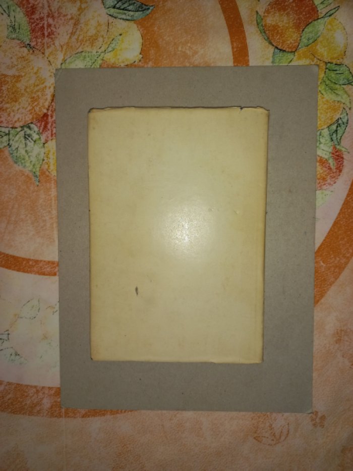 Шорлуян П.М., Багдыков М.Г. Влияние цигерола на заживление ран.