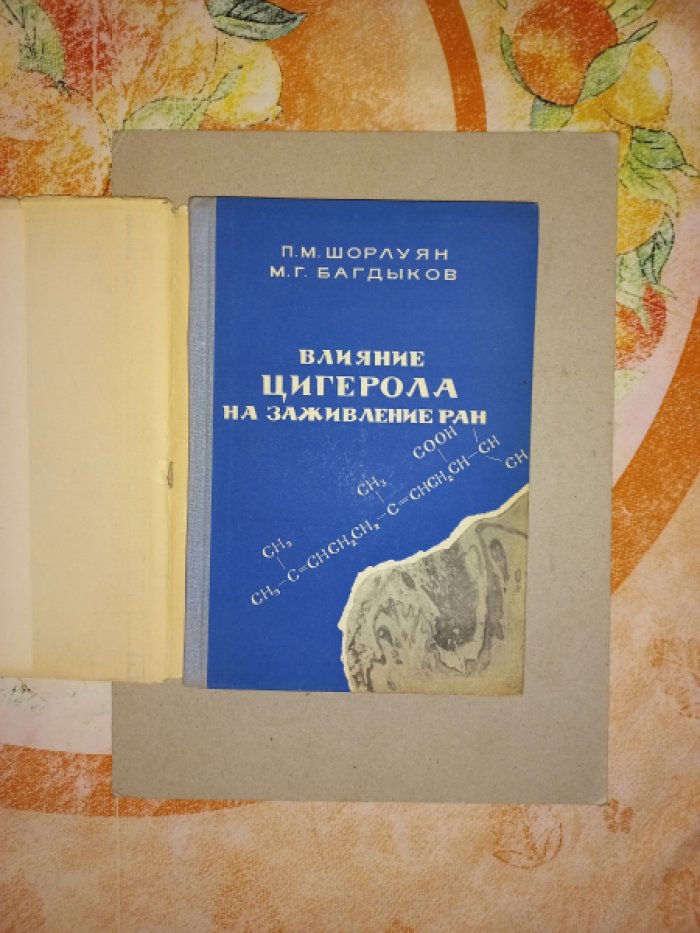 Шорлуян П.М., Багдыков М.Г. Влияние цигерола на заживление ран.