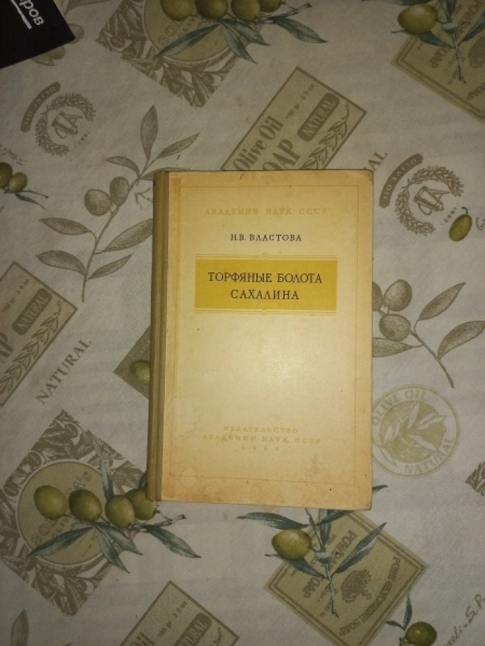 Властова Н.В. Торфяные болота Сахалина.