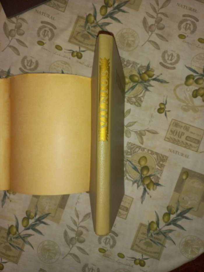 Вильнюс. Архитектура до начала XX века
