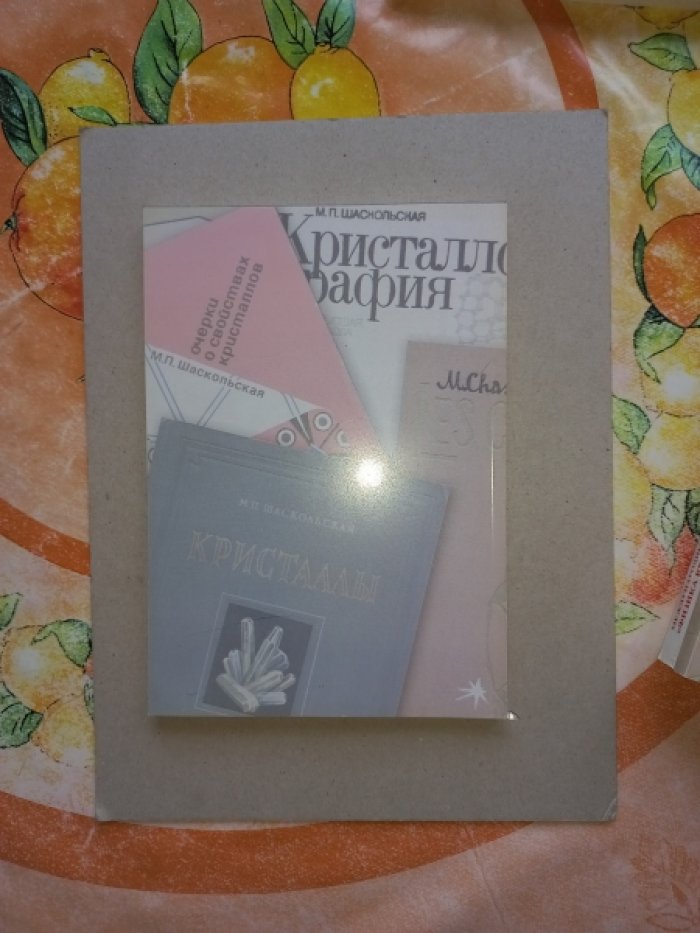 Марианна Петровна Шаскольская в кругу коллег, родных и друзей