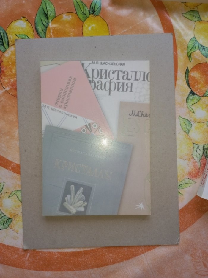 Марианна Петровна Шаскольская в кругу коллег, родных и друзей