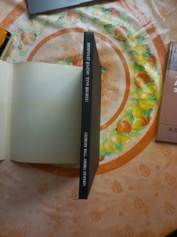 Балл Георгий, Демыкин Андрей. Дом из дождя.
