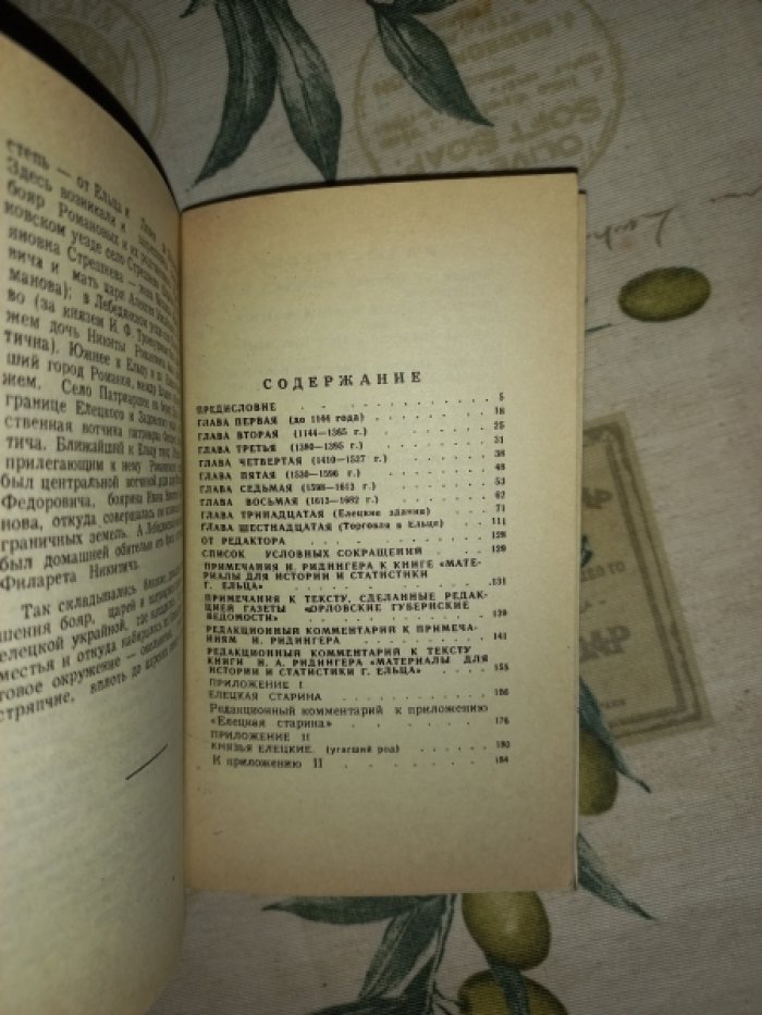 Ридингер Николай Александрович. Материалы для истории и статистики г. Ельца. Выпуск 1 (и единственный)