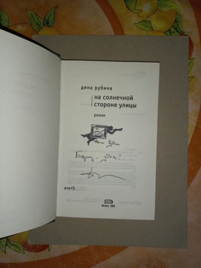 Рубина Дина. На солнечной стороне улицы. Роман