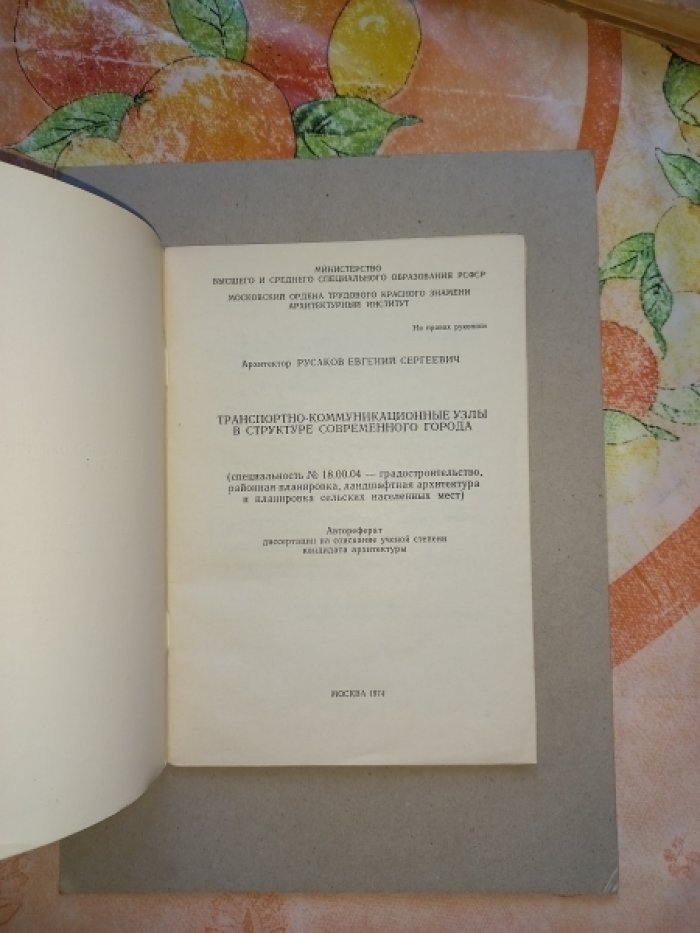 Русаков Евгений Сергеевич. Транспортно-коммуникационные узлы в структуре современного города.