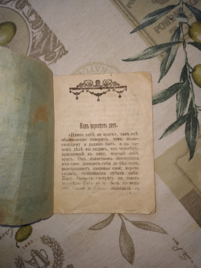 Булгаковский Д. Как перестать пить.