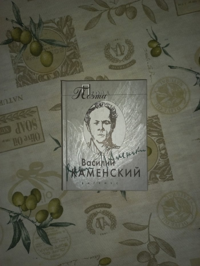 Каменский Василий. Проза поэта.