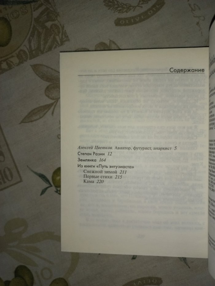 Каменский Василий. Проза поэта.