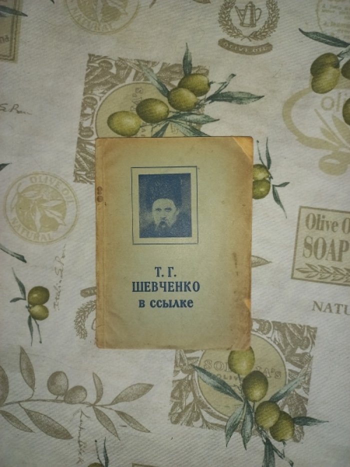 Т.Г. Шевченко в ссылке
