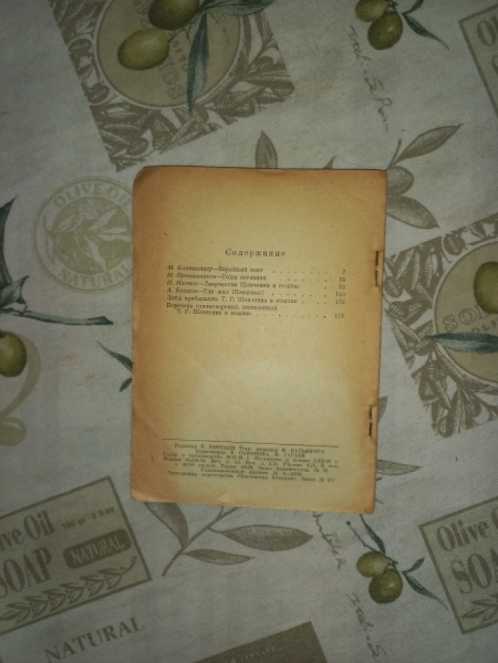 Т.Г. Шевченко в ссылке