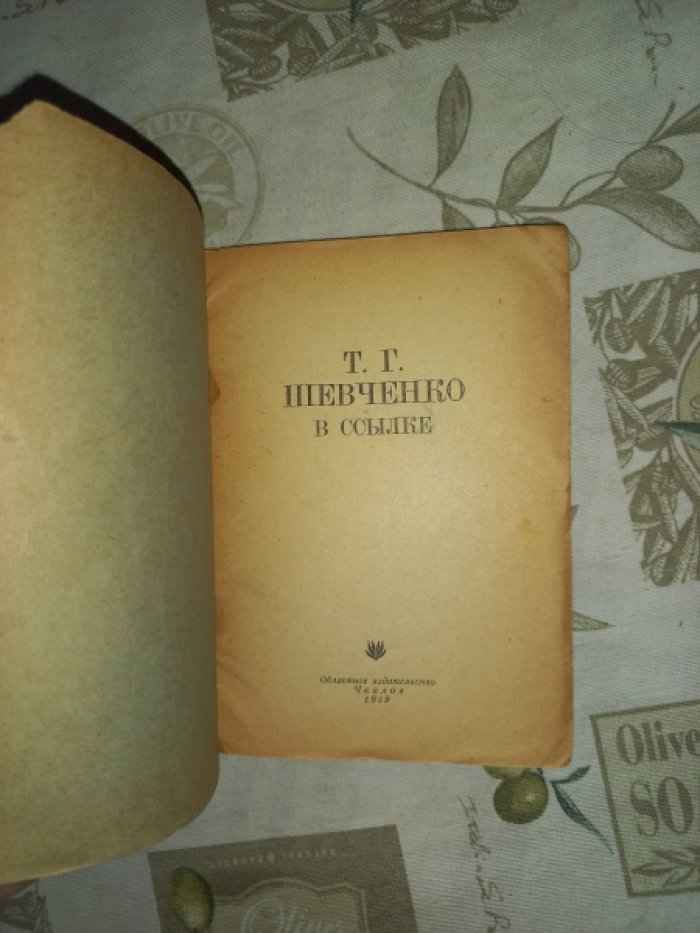 Т.Г. Шевченко в ссылке