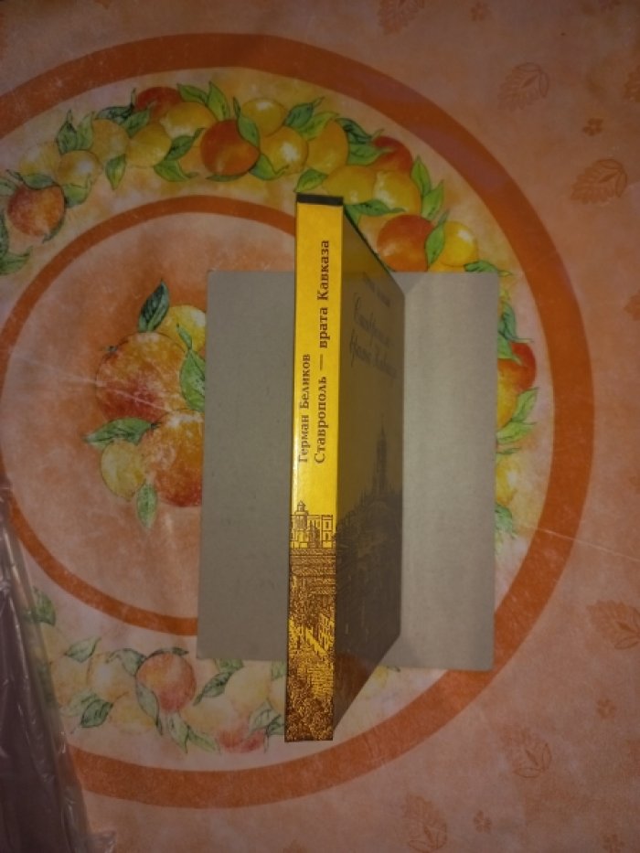 Беликов Герман. Ставрополь - врата Кавказа.