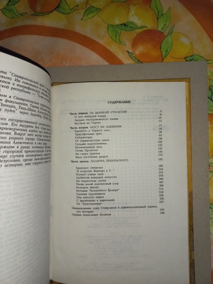 Беликов Герман. Ставрополь - врата Кавказа.