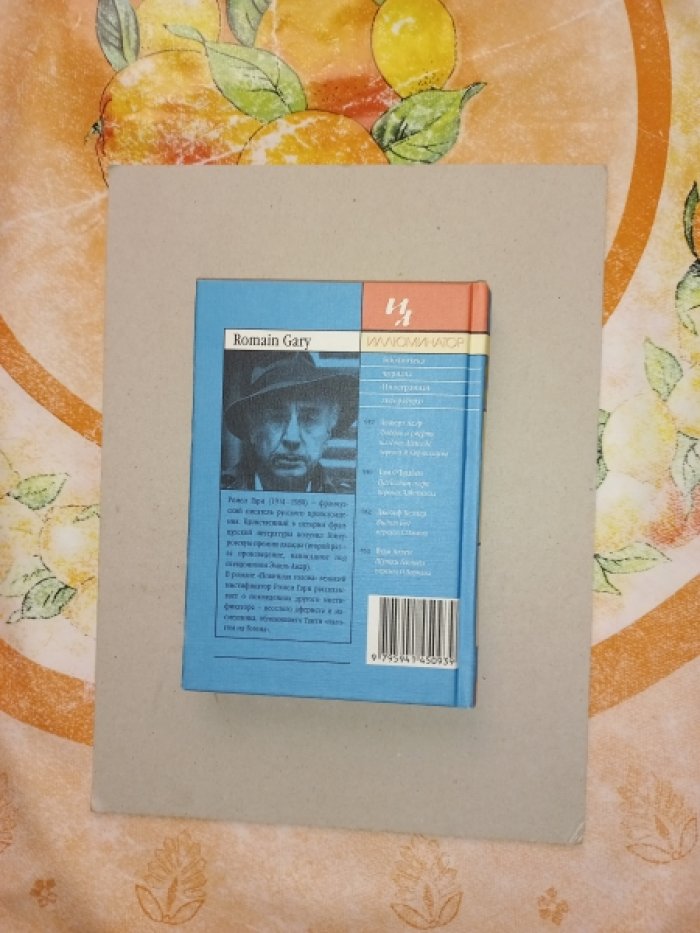 Гари Ромен. Повинная голова. Роман